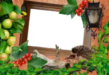 Foto Effekt från kategori Olika № 39216 Foto Effekt från kategori Olika № 39216