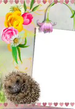 Foto Effekt från kategori Olika № 39281 Foto Effekt från kategori Olika № 39281