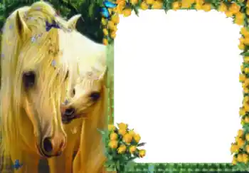 Foto Effekt från kategori Olika № 40511 Foto Effekt från kategori Olika № 40511