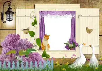 Foto Effekt från kategori Olika № 42597 Foto Effekt från kategori Olika № 42597