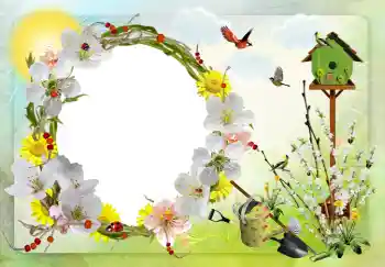 Foto Effekt från kategori Olika № 42598 Foto Effekt från kategori Olika № 42598