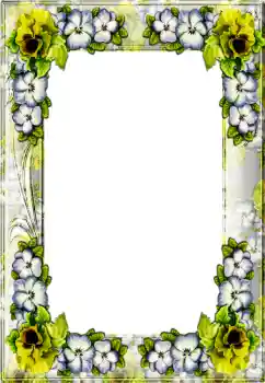 Foto Effekt från kategori Olika № 4367