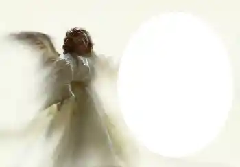 Foto Effekt från kategori Olika № 4541