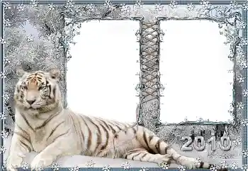 Foto Effekt från kategori Olika № 45917 Foto Effekt från kategori Olika № 45917