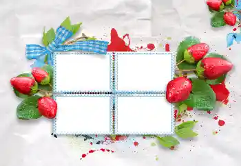 Foto Effekt från kategori Olika № 47209 Foto Effekt från kategori Olika № 47209