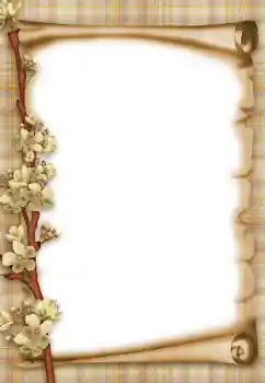 Foto Effekt från kategori Olika № 47303 Foto Effekt från kategori Olika № 47303