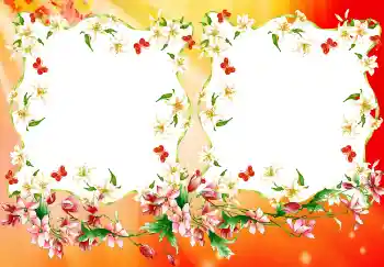 Foto Effekt från kategori Olika № 4894