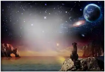 Foto Effekt från kategori Olika № 49504 Foto Effekt från kategori Olika № 49504