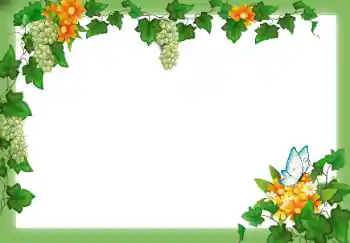 Foto Effekt från kategori Olika № 49547 Foto Effekt från kategori Olika № 49547