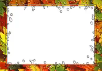 Foto Effekt från kategori Olika № 49551 Foto Effekt från kategori Olika № 49551