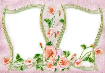 Foto Effekt från kategori Olika № 4982