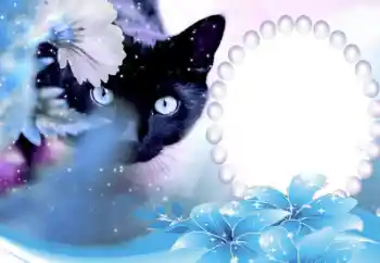 Foto Effekt från kategori Olika № 50647 Foto Effekt från kategori Olika № 50647