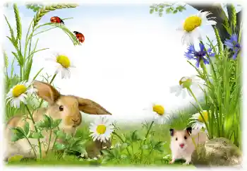 Foto Effekt från kategori Olika № 50899 Foto Effekt från kategori Olika № 50899