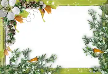 Foto Effekt från kategori Olika № 52034 Foto Effekt från kategori Olika № 52034