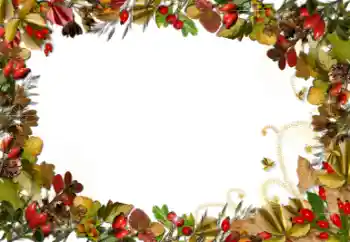 Foto Effekt från kategori Olika № 52161 Foto Effekt från kategori Olika № 52161