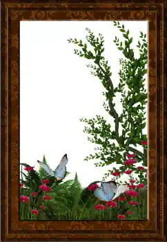 Foto Effekt från kategori Olika № 52231 Foto Effekt från kategori Olika № 52231