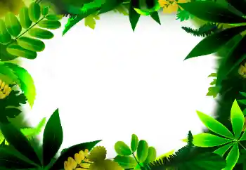 Foto Effekt från kategori Olika № 56530 Foto Effekt från kategori Olika № 56530