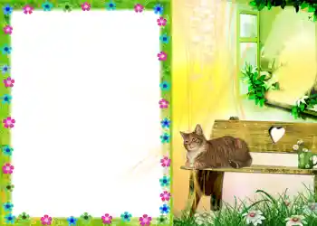 Foto Effekt från kategori Olika № 579