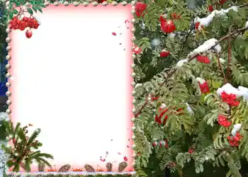 Foto Effekt från kategori Olika № 581