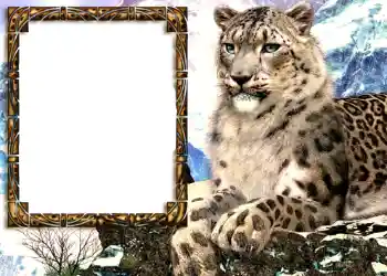 Foto Effekt från kategori Olika № 585