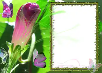 Foto Effekt från kategori Olika № 586