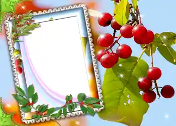 Foto Effekt från kategori Olika № 587