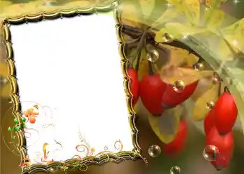 Foto Effekt från kategori Olika № 588