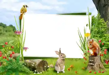 Foto Effekt från kategori Olika № 59008 Foto Effekt från kategori Olika № 59008