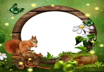 Foto Effekt från kategori Olika № 59010 Foto Effekt från kategori Olika № 59010