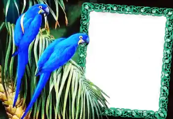 Foto Effekt från kategori Olika № 60137 Foto Effekt från kategori Olika № 60137