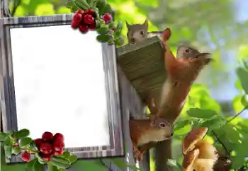 Foto Effekt från kategori Olika № 60195 Foto Effekt från kategori Olika № 60195