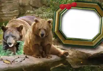 Foto Effekt från kategori Olika № 60215 Foto Effekt från kategori Olika № 60215