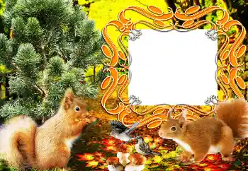 Foto Effekt från kategori Olika № 64207 Foto Effekt från kategori Olika № 64207