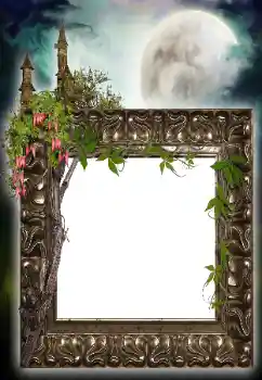 Foto Effekt från kategori Olika № 64455 Foto Effekt från kategori Olika № 64455