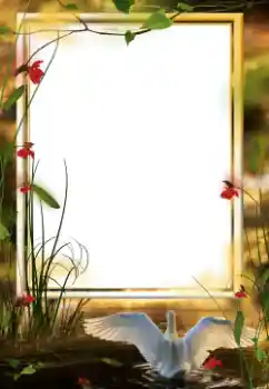 Foto Effekt från kategori Olika № 64458 Foto Effekt från kategori Olika № 64458