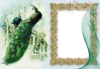 Foto Effekt från kategori Olika № 64460 Foto Effekt från kategori Olika № 64460