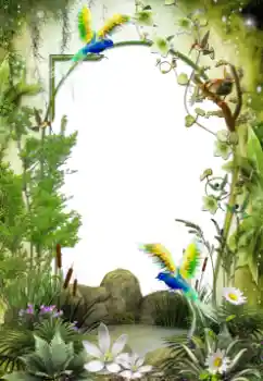 Foto Effekt från kategori Olika № 64461 Foto Effekt från kategori Olika № 64461