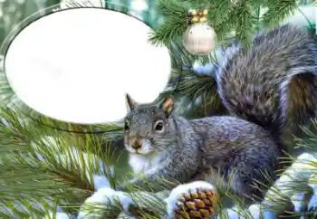 Foto Effekt från kategori Olika № 65735 Foto Effekt från kategori Olika № 65735