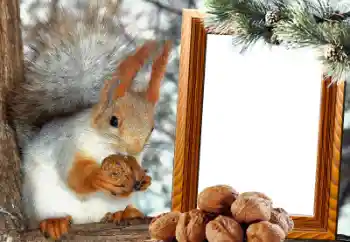 Foto Effekt från kategori Olika № 65737 Foto Effekt från kategori Olika № 65737