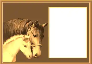 Foto Effekt från kategori Olika № 67145 Foto Effekt från kategori Olika № 67145