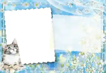 Foto Effekt från kategori Olika № 67194