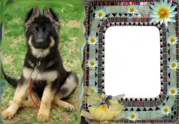 Foto Effekt från kategori Olika № 68616 Foto Effekt från kategori Olika № 68616