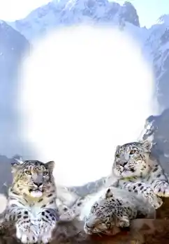 Foto Effekt från kategori Olika № 68679 Foto Effekt från kategori Olika № 68679