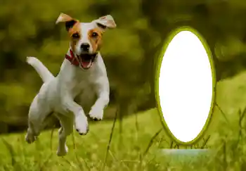 Foto Effekt från kategori Olika № 68744