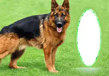 Foto Effekt från kategori Olika № 68745