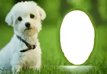 Foto Effekt från kategori Olika № 68748