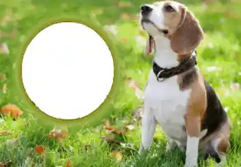 Foto Effekt från kategori Olika № 68749