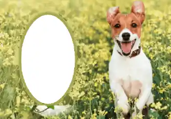 Foto Effekt från kategori Olika № 68750