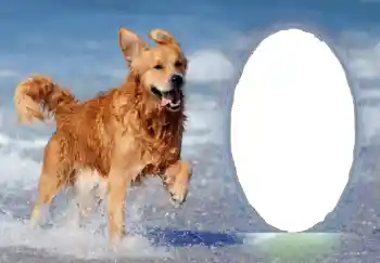 Foto Effekt från kategori Olika № 68751