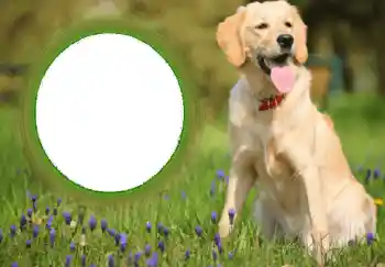 Foto Effekt från kategori Olika № 68752